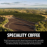 Brazil Cachoeira - Medium-Dark Roast