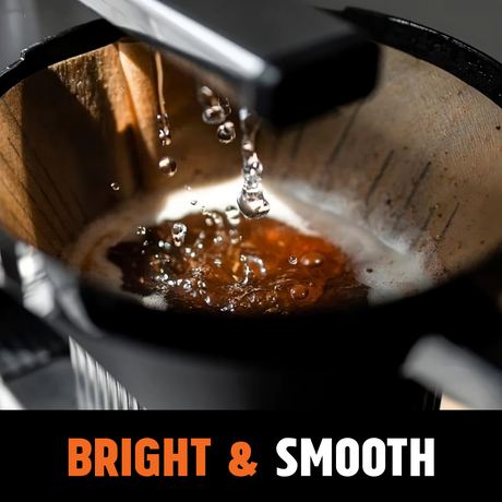 Ethiopia Sidama - Medium-Dark Roast