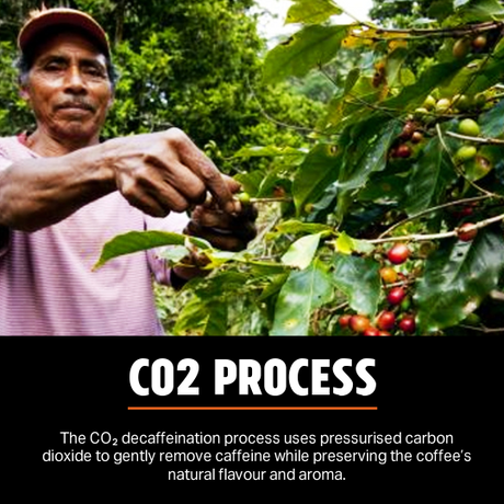 Central American Decaf - Medium Roast