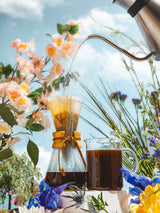 Chemex 3 Cup Classic brewer used with a gooseneck kettle