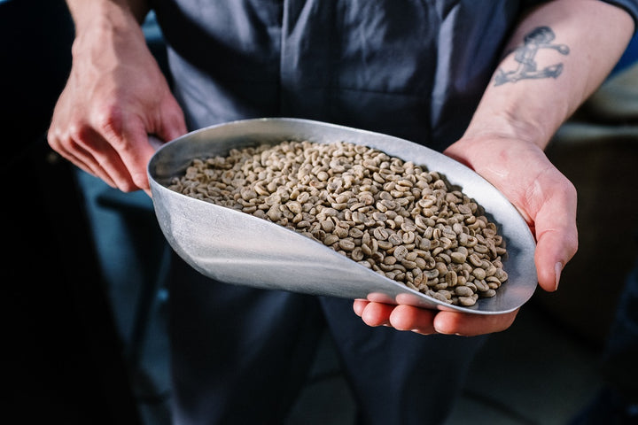 green unroasted coffee beans