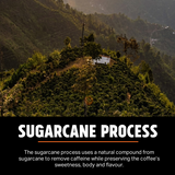 Guatemala Cha Chi Sugarcane Decaf – Medium-Dark Roast