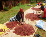 Kenya Peaberry - Medium Roast