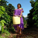 Panama Hortigal - Medium-Dark Roast