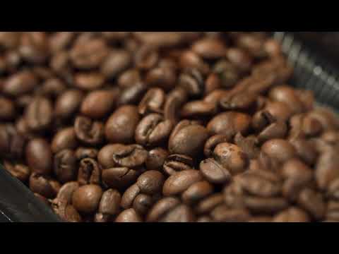 Melitta Epos Filter Coffee Machine Highlights video