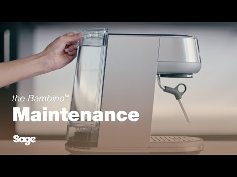 Sage the Bambino Espresso Coffee Machine - Stainless Steel
