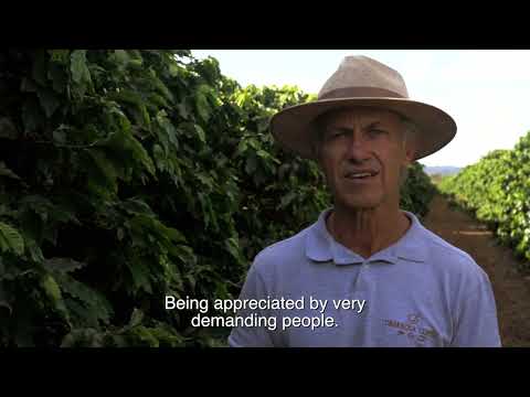 BRAZIL FINCA CACHOEIRA (NATURAL) - Medium-Dark Roast Coffee