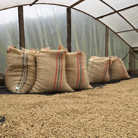 Redber, COLOMBIA PACHAMAMA - Green Coffee Beans, Redber Coffee