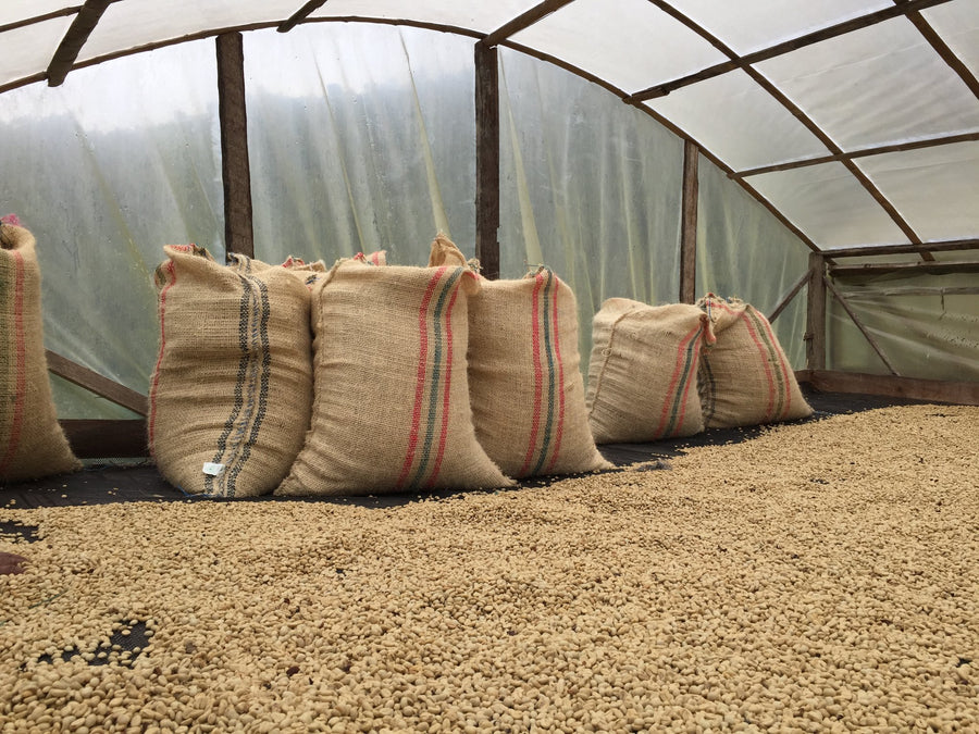 Redber, COLOMBIA PACHAMAMA - Green Coffee Beans, Redber Coffee