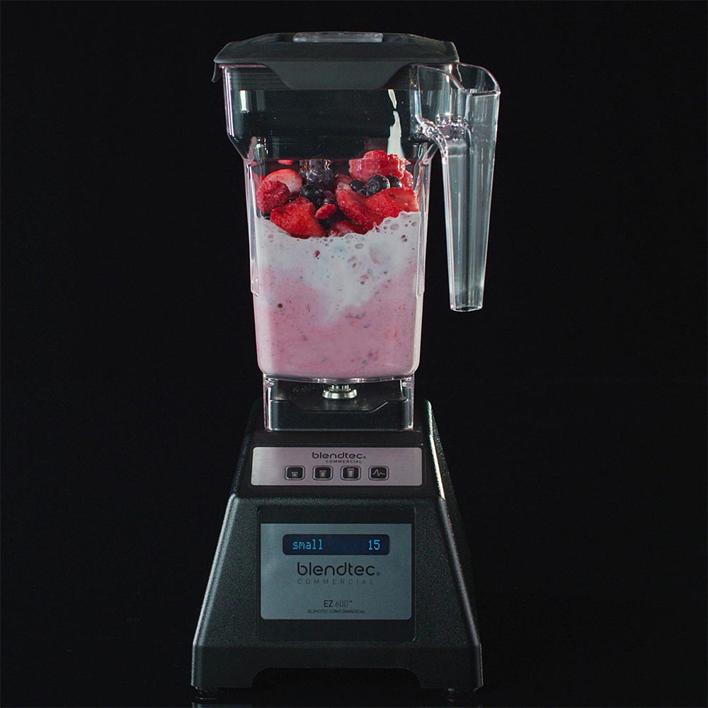 Blendtec hot sale ez 600