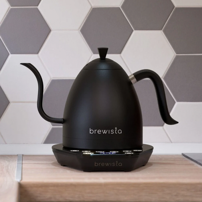 Brewista 2024 gooseneck kettle
