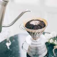 Hario, Hario V60 02 (2 Cups ) Plastic Coffee Dripper - Clear, Redber Coffee