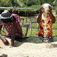 Redber, RWANDA INZOVU Green Coffee Beans, Redber Coffee