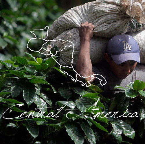 Redber, CENTRAL AMERICAN DECAF BLEND - Medium Roast Auto renew, Redber Coffee