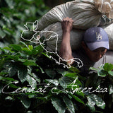 Redber, CENTRAL AMERICAN DECAF BLEND - Medium Roast Auto renew, Redber Coffee