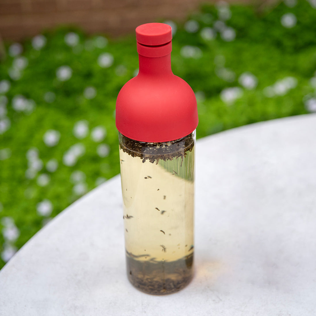 Hario Cold Brew Tea Filter Bottle 750ml Red Redber Coffee